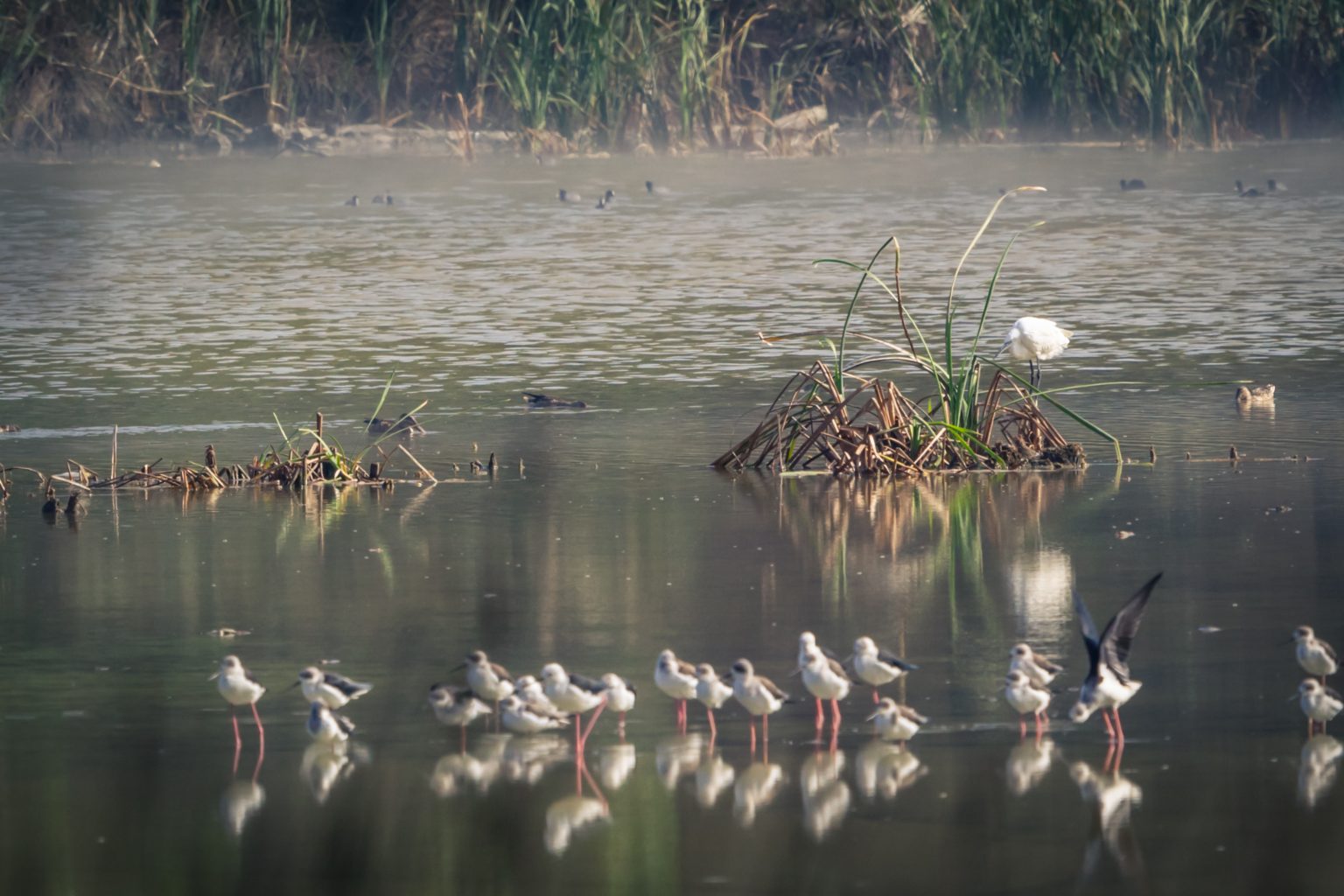 Kénitra – RabatSites